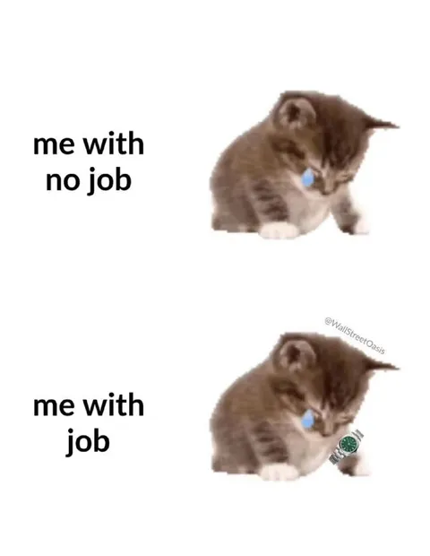 Me With a Job Crying Kitten