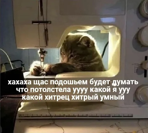 Какой я хитрец