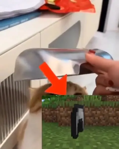 Кот в кастрюле как моб Minecraft