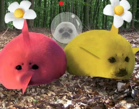 Красный и жёлтый лесные зверьки
