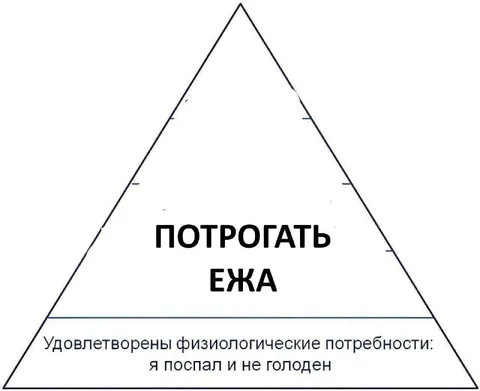 Потрогать ежа — вершина потребностей