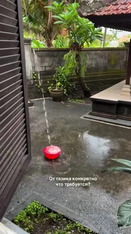 Когда тазик просит дождя