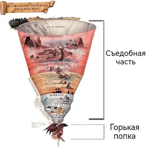 Съедобная часть и горькая попка