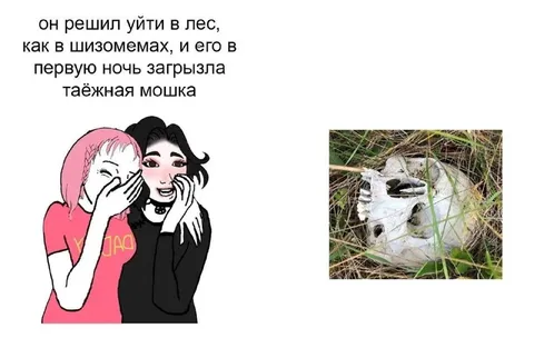 Таёжная мошка загрызла за ночь