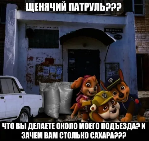 Щенячий патруль у подъезда