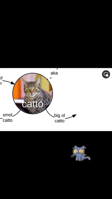 The Catto Classification Chart