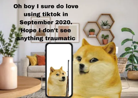 TikTok in September 2020
