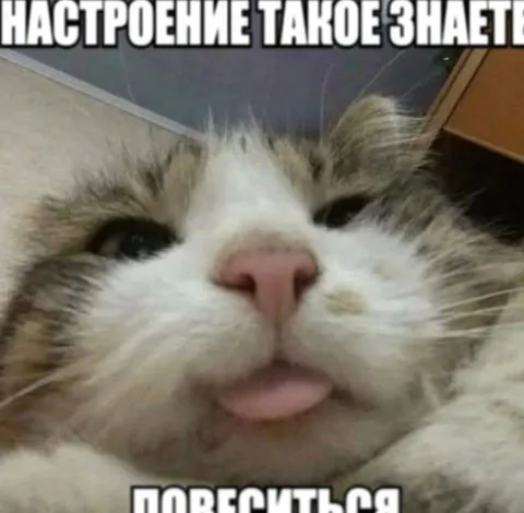 Настроение такое значит