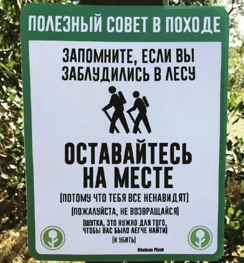 Полезный совет заблудившимся в лесу