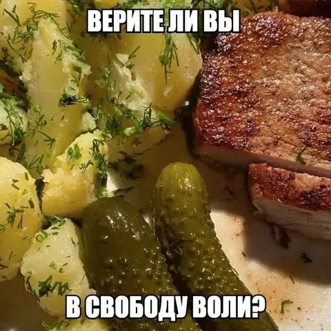 Верите ли вы в свободу воли