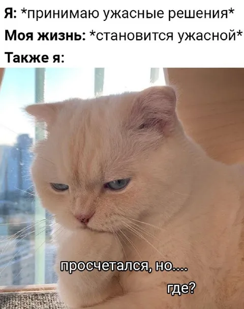 Просчитался, но где?