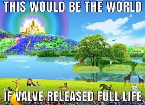 Valve Released Full Life