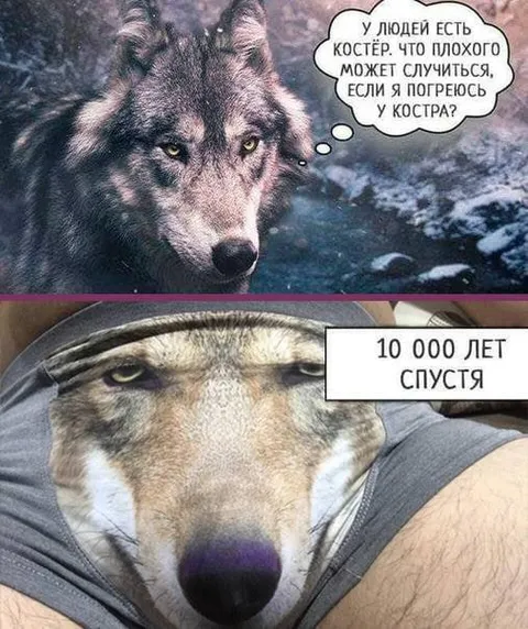 Волк у костра через 10 000 лет