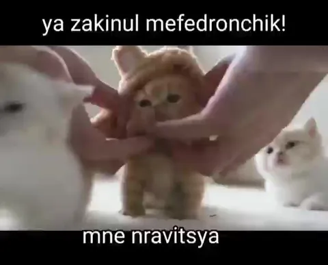 Мефедрончик и костюм зайчика