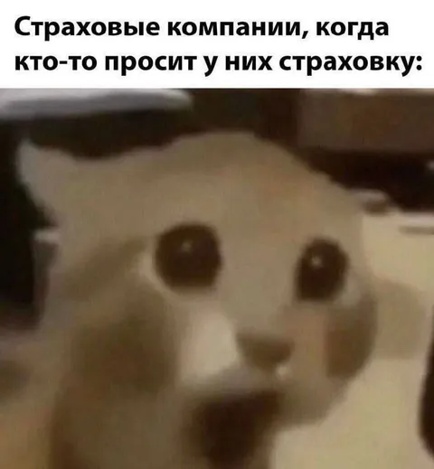 Страховые компании просят страховку