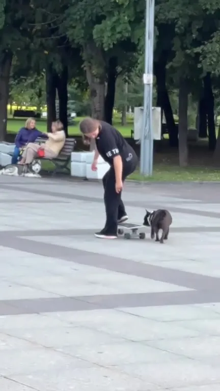 Бульдог осваивает скейтборд