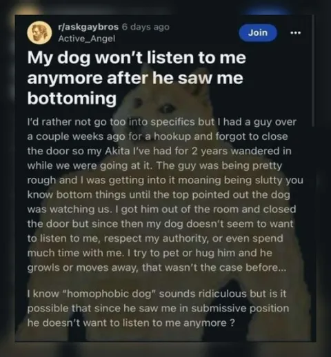 Dog Loses Respect After Seeing Owner Bottoming