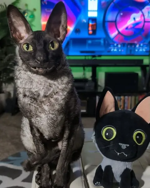Кот и его плюшевая копия