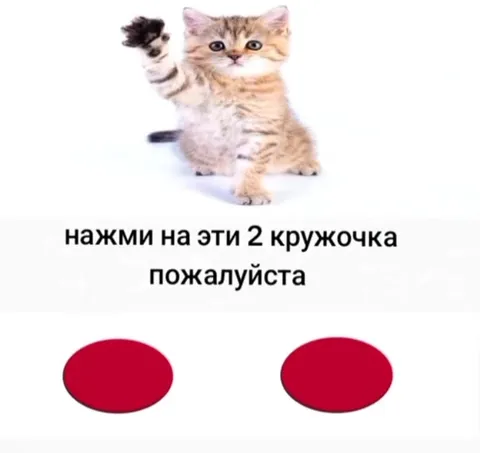Нажми на эти 2 кружочка