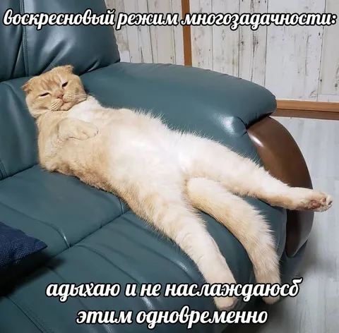 Воскресновый режим многозадачности