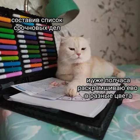 Кот раскрашивает срочные дела