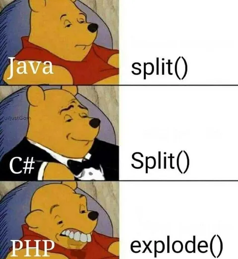 Programming Languages Split Meme