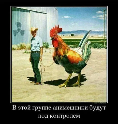 Анимешники под контролем