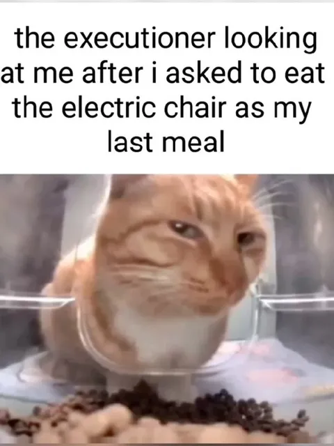 Cat Wants to Eat the Electric Chair