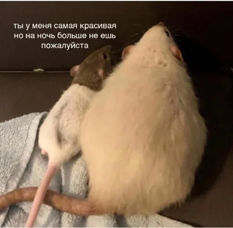 Самая красивая, но не ешь ночью