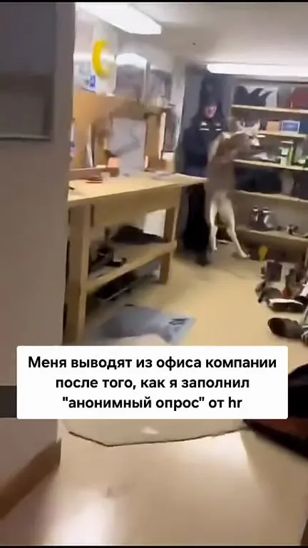 Выгоняют за честный опрос