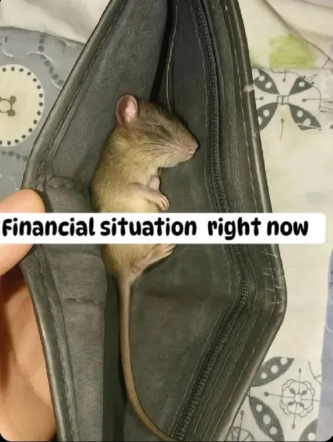 Financial Situation Right Now