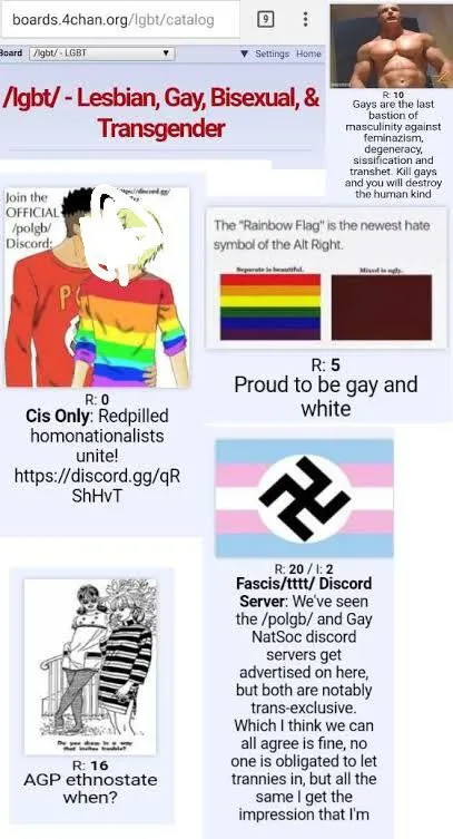 4chan LGBT Board Chaos