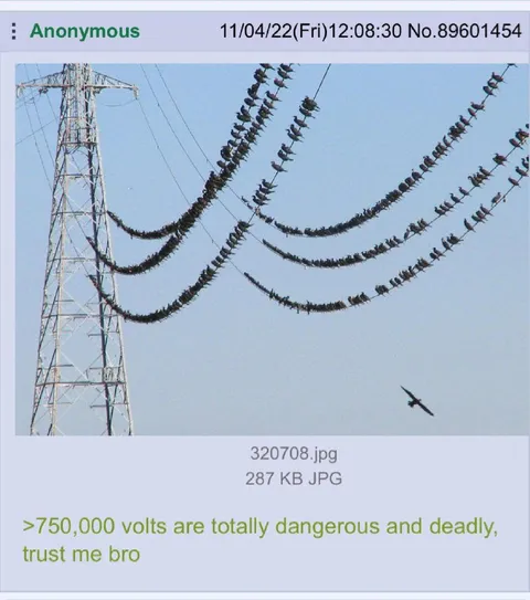 750,000 Volts Are Totally Safe