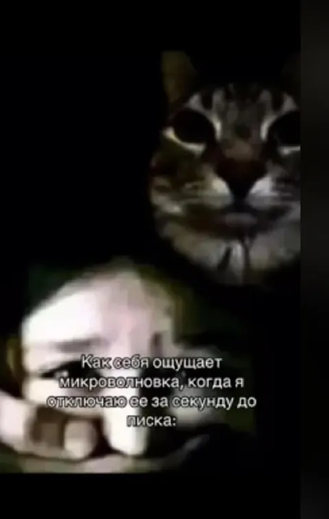 Микроволновка за секунду до писка