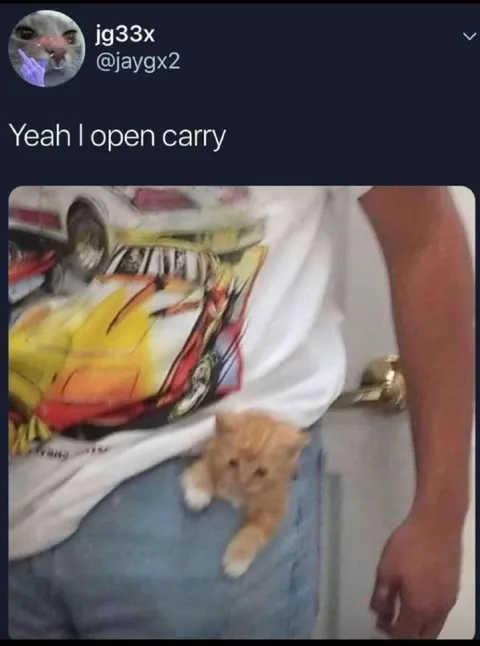 Yeah I Open Carry Cat
