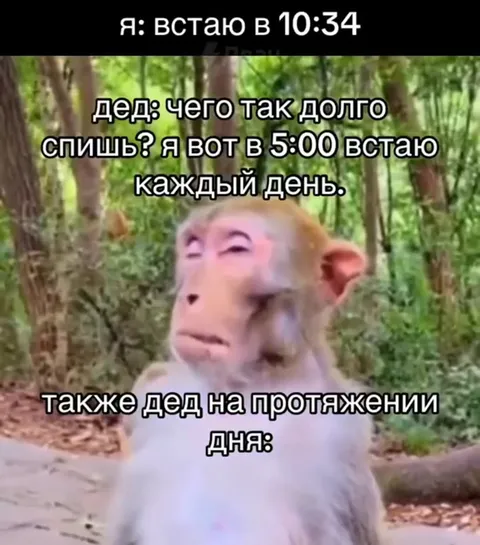 Дед встаёт в пять утра