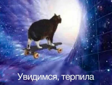 Кот на скейтборде в космосе