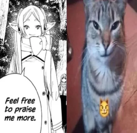 Feel Free to Praise Me More