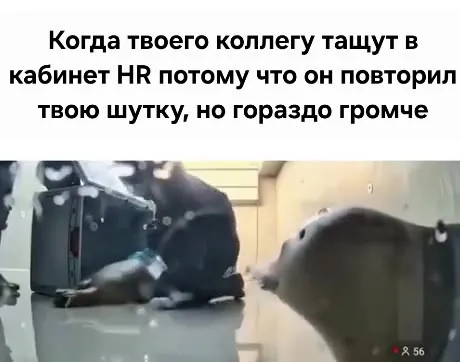 Коллегу тащат в кабинет HR