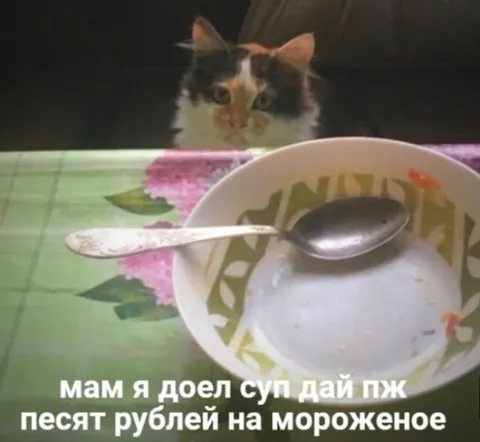 Кот просит денег на мороженое