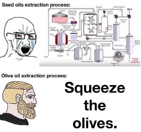 Seed Oil Extraction vs Olive Oil