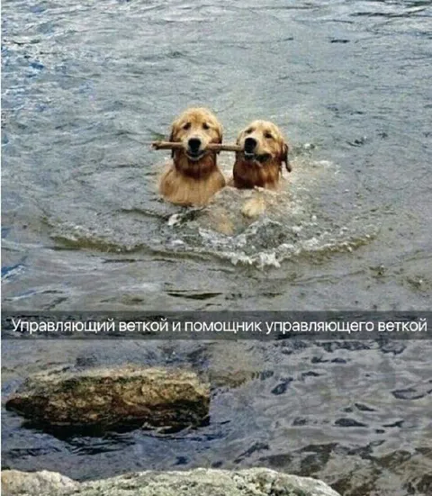 Управляющий веткой и помощник