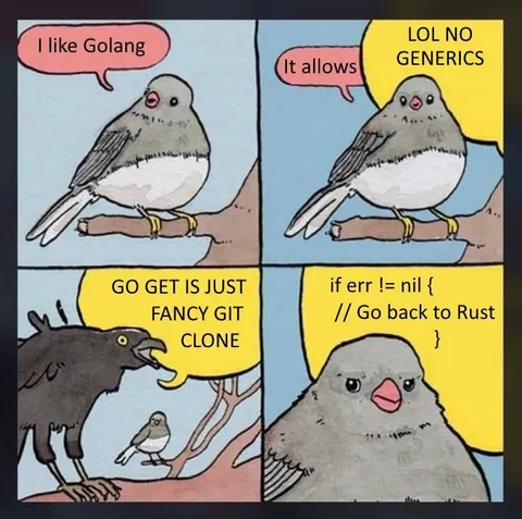 Go Programmer Goes Back to Rust