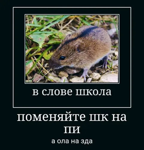 В слове школа поменяйте буквы