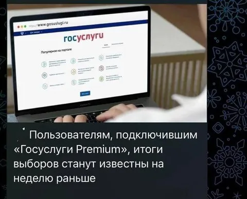 Госуслуги Premium и выборы