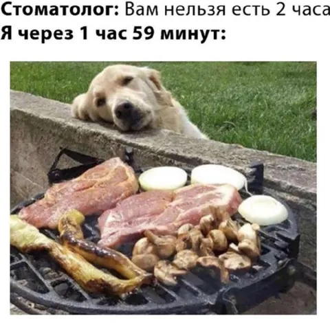 Собака через 1 час 59 минут