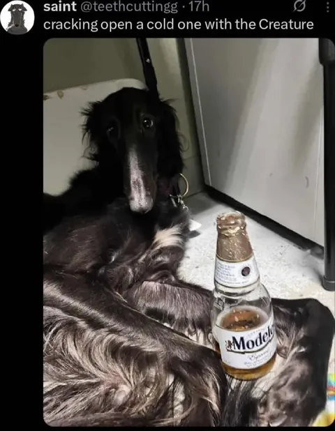 Cracking a Cold One with the Creature