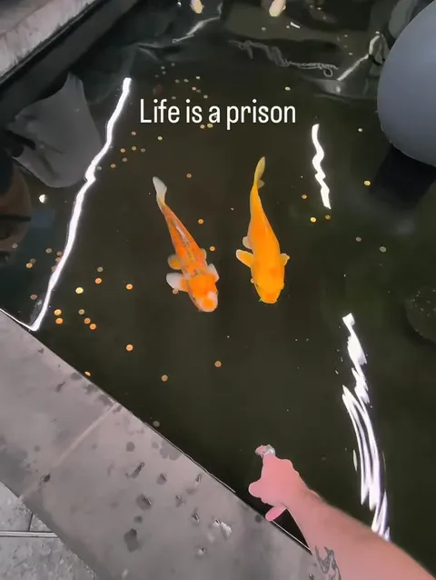 Life Is a Prison at the Mall