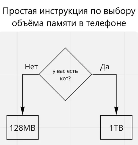 Выбор памяти по наличию кота