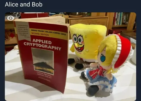 SpongeBob Studies Cryptography